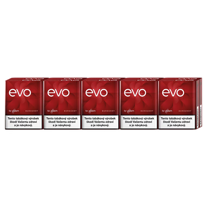 Evo for Ploom Burgundy karton